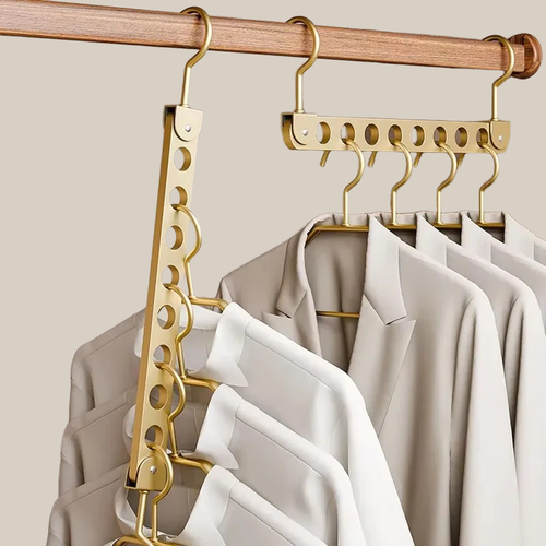 Multi-Hole Hanger Organizer